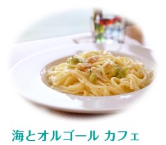 海とオルゴールカフェ