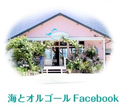 海とオルゴールFacebook